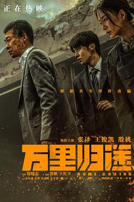 万里归途 海报 高清在线观看