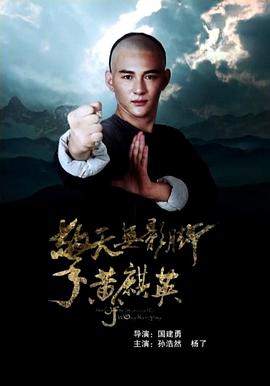 擎天无影脚黄麒英 海报 高清在线观看