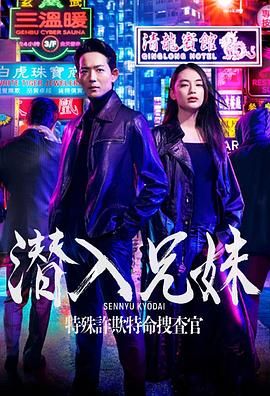 潜入兄妹 特殊诈欺特命搜查官 海报 高清在线观看