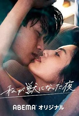 我放纵情欲的夜晚 海报 高清在线观看