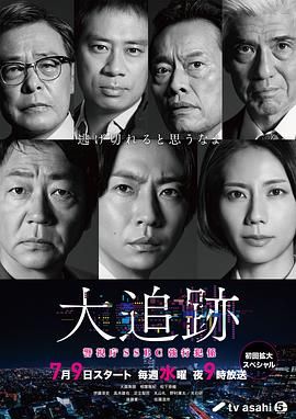 大追踪〜警视厅SSBC强行犯系 海报 高清在线观看