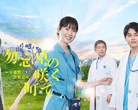 在勿忘草盛开的城镇安昙野诊疗记 海报 高清在线观看