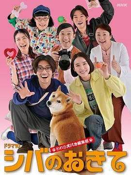 柴犬的规矩我们这群狗痴编辑部 海报 高清在线观看