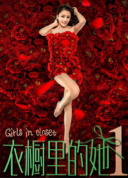 衣橱里的她1 海报 高清在线观看