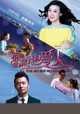 你是不是我的爱人 海报 高清在线观看