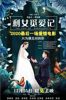 剩女觅爱记 海报 高清在线观看