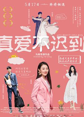 真爱不迟到 海报 高清在线观看