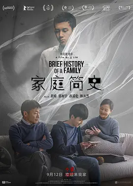 家庭简史 海报 高清在线观看