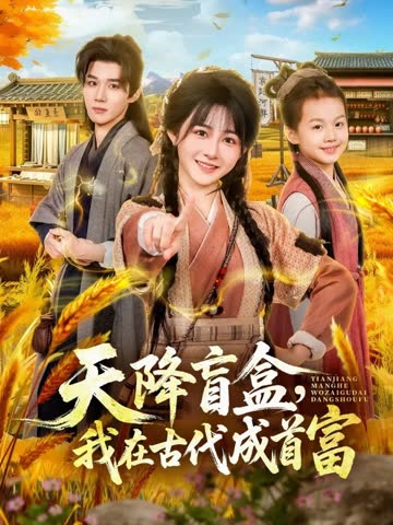 天降盲盒，我在古代成首富 海报 高清在线观看