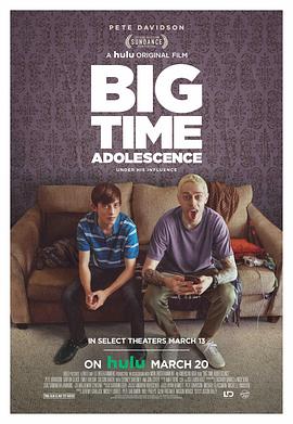 超级青春期 Big Time Adolescence 海报 高清在线观看