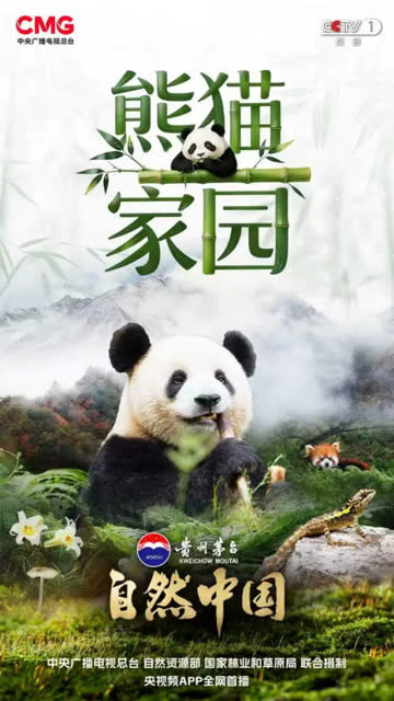 熊猫家园 海报 高清在线观看