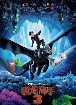 驯龙高手3 海报 高清在线观看