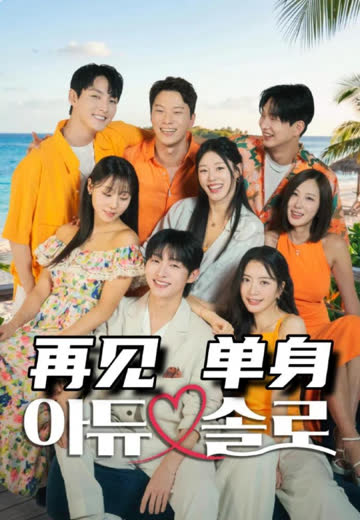 再见单身 海报 高清在线观看