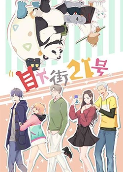 目下街21号 海报 高清在线观看
