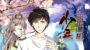 少年，你是哪根草 海报 高清在线观看
