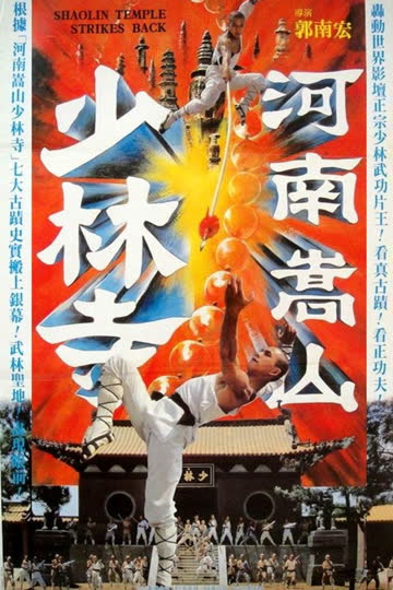 河南嵩山少林寺 海报 高清在线观看