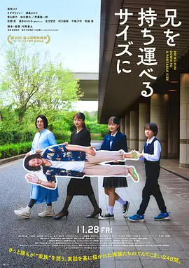 把哥哥带走 海报 高清在线观看