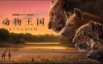 动物王国配音版 海报 高清在线观看