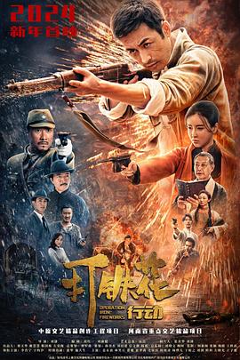 打铁花行动 海报 高清在线观看