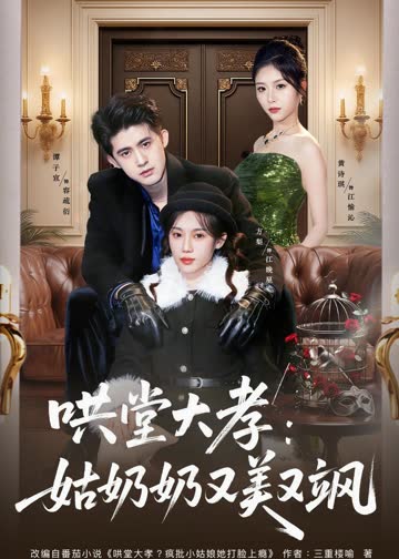 哄堂大孝：姑奶奶又美又飒 海报 高清在线观看