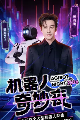 机器人奇妙夜 海报 高清在线观看