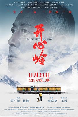 开心岭 海报 高清在线观看