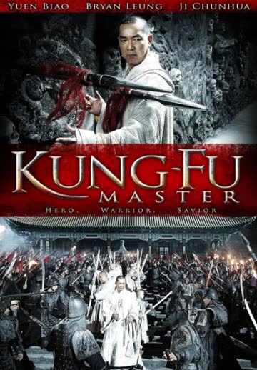 功夫大师2010 海报 高清在线观看