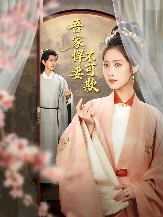 吾家悍妻不可欺 海报 高清在线观看
