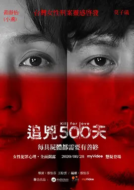追凶500天 海报 高清在线观看