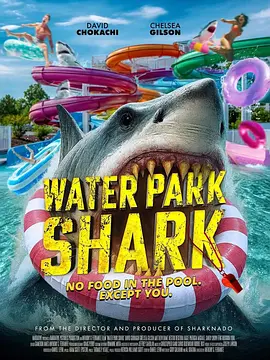 Water Park Shark 海报 高清在线观看