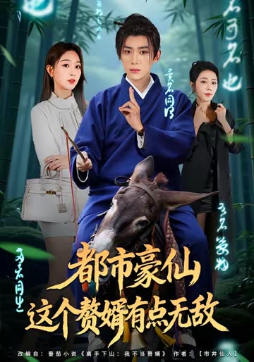 都市豪仙，这个赘婿有点无敌 海报 高清在线观看