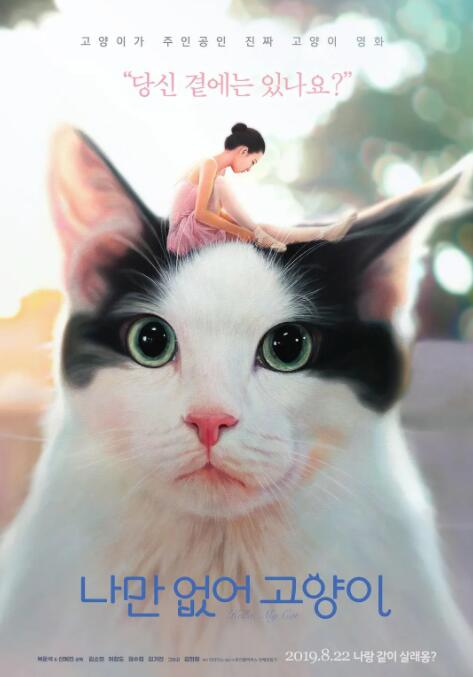 只有我没有猫 海报 高清在线观看