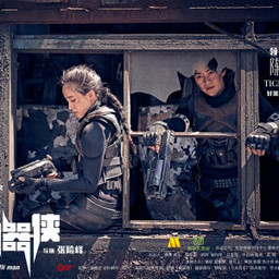功夫机器侠之南拳 海报 高清在线观看