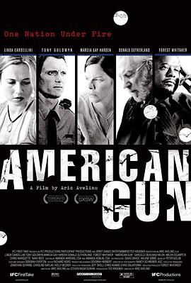 美国武器 American Gun 海报 高清在线观看