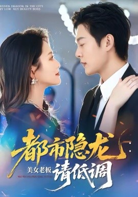 都市隐龙：美女老板请低调 海报 高清在线观看