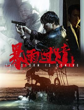 暴雨过境 海报 高清在线观看
