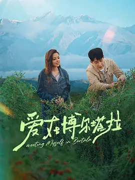 爱在博尔塔拉 海报 高清在线观看