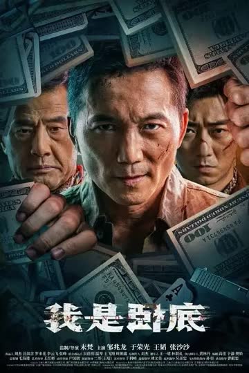我是卧底 海报 高清在线观看