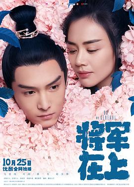将军在上之极乐净土 海报 高清在线观看