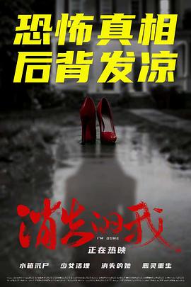 消失的我 海报 高清在线观看