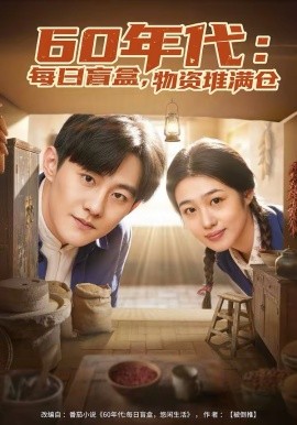 60年代：每日盲盒，物资堆满仓 海报 高清在线观看