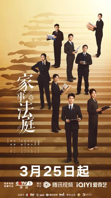 家事法庭 海报 高清在线观看