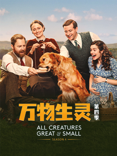 万物生灵第四季 海报 高清在线观看