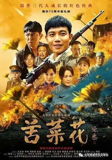 苦菜花 海报 高清在线观看