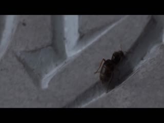 网飞版三体第一季-1080P 海报 高清在线观看