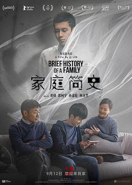 家庭简史 海报 高清在线观看