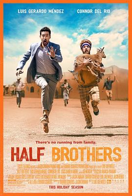 半血缘兄弟 Half Brothers 海报 高清在线观看