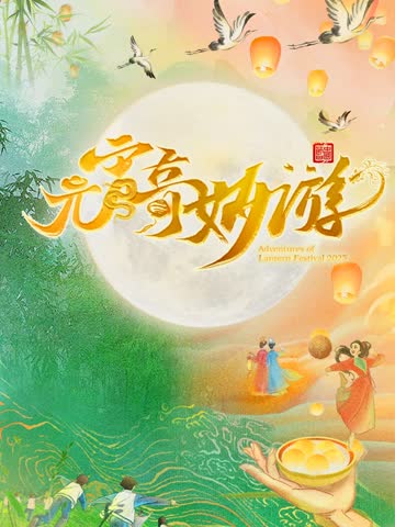 2025河南卫视元宵奇妙游 海报 高清在线观看