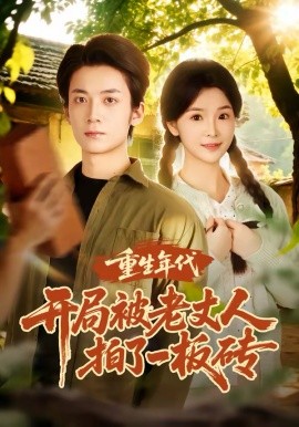 重生年代开局被老丈人拍了一板砖 海报 高清在线观看