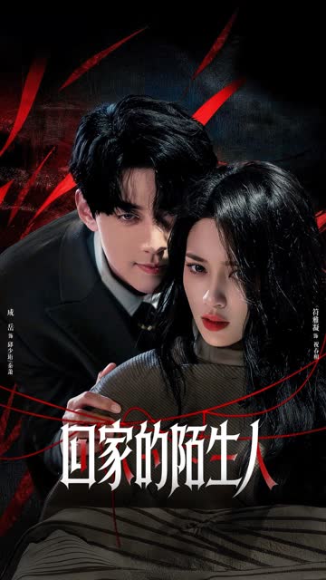 回家的陌生人 海报 高清在线观看